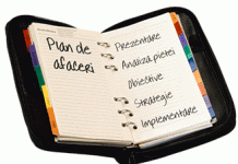 Structura planului de afaceri