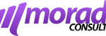 logo_morado_consluting_p2
