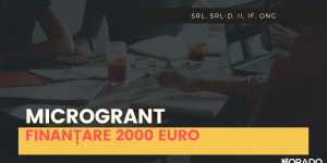Microgrant - Finanțare de 2000 euro pentru firmele fără angajați