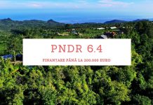 PNDR 6.4 – finanțare de până la 200.000 euro pentru activități în mediul rural PNDR 6.4 MoradoConsulting.ro