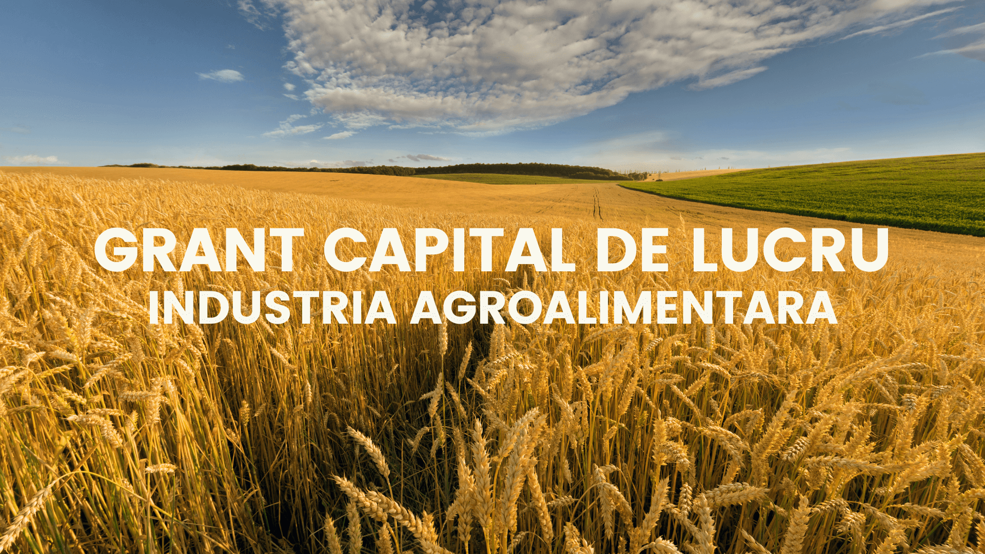 Grant capital de lucru pentru industria agroalimentara