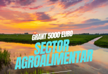 Microgrant – Finanțare de 5000 euro pentru domeniul agroalimentar Microgrant 5000 euro agroalimentar Morado Consulting