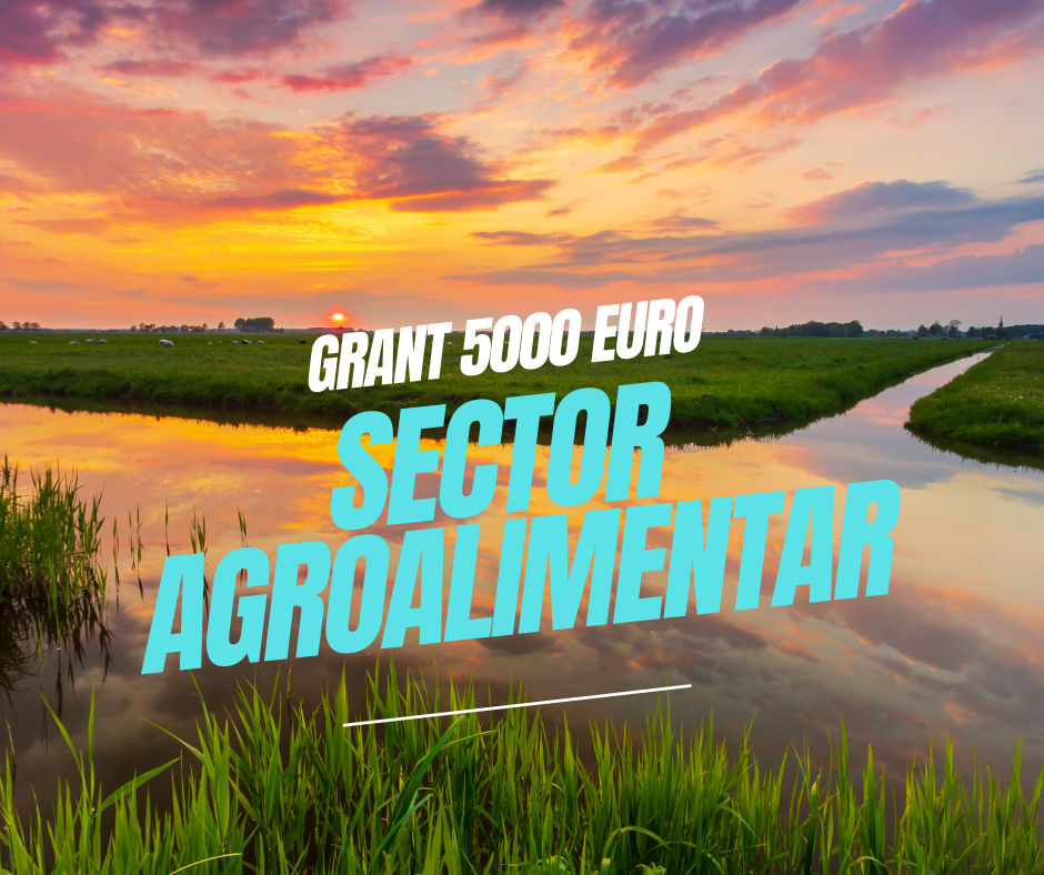 Microgrant 5000 euro agroalimentar Morado Consulting