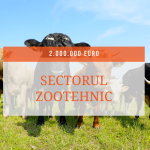 DR 20 Investiții în sectorul zootehnic – MoradoConsulting.ro