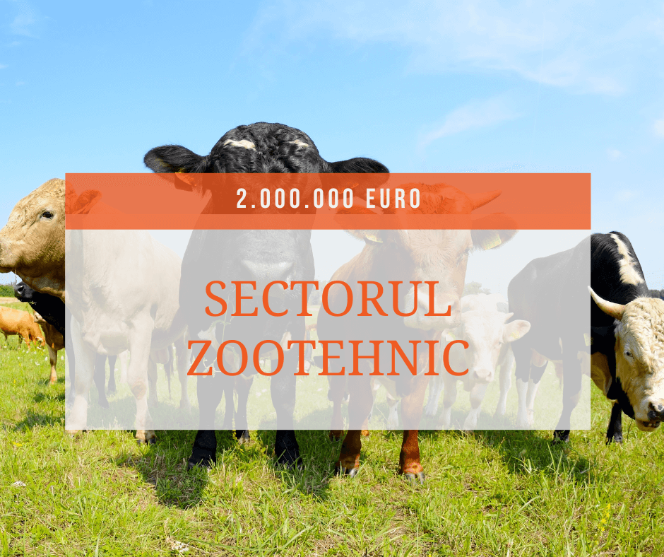 DR 20 Investiții în sectorul zootehnic - MoradoConsulting.ro