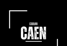 Coduri CAEN Eligibile Microindustrializare Comerț și Servicii Coduri CAEN