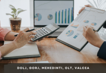 ADR Sud-Vest Oltenia – Finanțare pentru Microîntreprinderi ADR Sud-Vest Oltenia - Finanțare pentru Microîntreprinderi