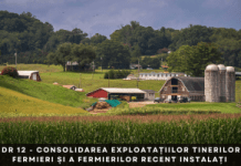 DR 12 – Investiții în consolidarea exploatațiilor tinerilor fermieri DR 12 - Investiții în consolidarea exploatațiilor tinerilor fermieri MORADOCONSULTING.ro
