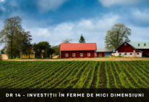 DR 14 – Investiții în ferme de mici dimensiuni DR 14 - Investiții în ferme de mici dimensiuni- Morado Consulting