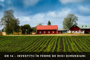 DR 14 - Investiții în ferme de mici dimensiuni- Morado Consulting